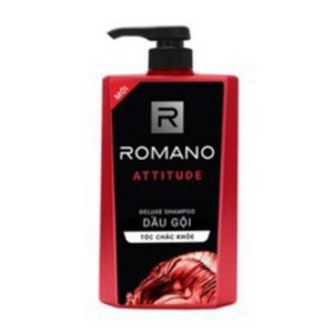 Dầu gội đầu Romano Attitude 650g