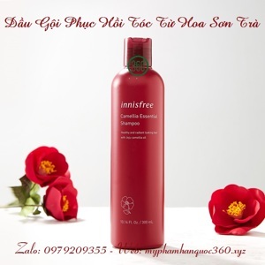 Dầu Gội Innisfree Camellia Essential Shampoo