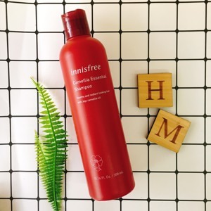 Dầu Gội Innisfree Camellia Essential Shampoo