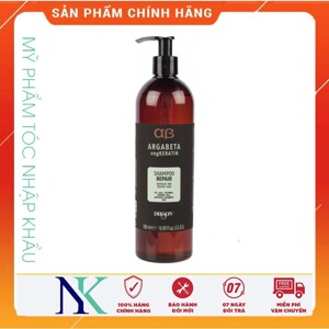 Dầu gội phục hồi cấu trúc tóc Argabeta Beauty Dikson - 500ml