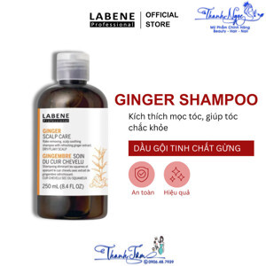 Dầu gội trị rụng tóc và hỗ trợ mọc tóc Scalp Care 250ml