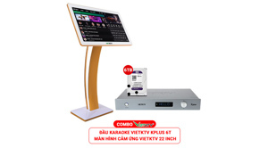 Đầu Karaoke Việt KTV HD Plus 6TB + Màn hình 22 Inch