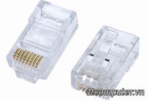 Đầu nối cáp mạng AMP RJ-45 Conector