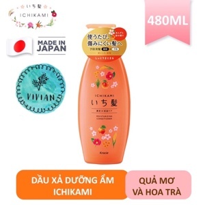 Dầu xả dưỡng ẩm Ichikami 480g