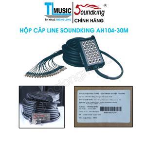 Dây cáp 16 line Soundking AH104 / 30m