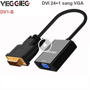 Dây cáp chuyển đổi DVI D 24+1 sang VGA converter 1080P Veggieg D-V1B - Chiếc