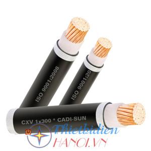 Dây cáp điện Cadisun CXV 1x10