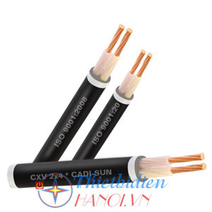 Dây cáp điện Cadisun CXV 2x10