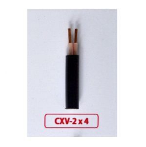 Dây cáp điện Cadisun CXV 2x16