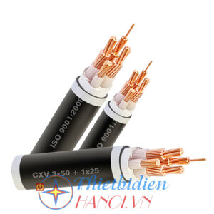 Dây cáp điện Cadisun CXV 3x10+1x6