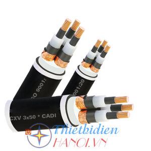 Dây cáp điện Cadisun CXV 3x10