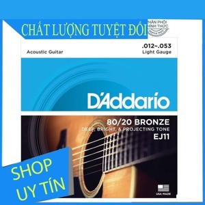 Dây đàn Guitar Acoustic DAddario EJ10