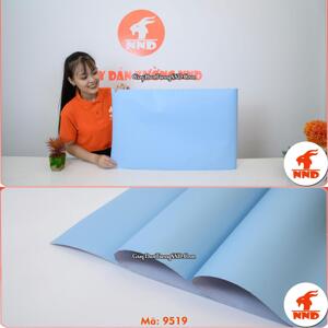 Decal dán tường trơn màu xanh 9519