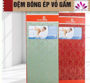 Đệm bông chống khuẩn Nano Everhome vỏ gấm