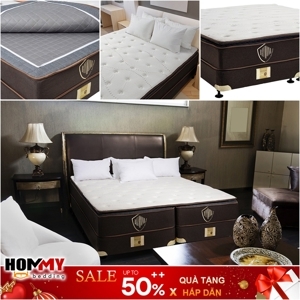 Đệm bông chống khuẩn Raymond 27cm