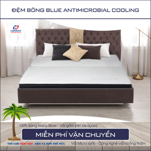 Đệm bông ép Antimicrobial Cooling Hanvico