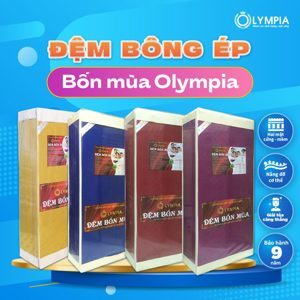 Đệm bông ép bốn mùa kháng khuẩn Olympia 100x190x10cm