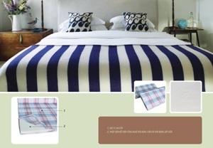Đệm bông ép Hanvico PE-HQ 180*200*9cm