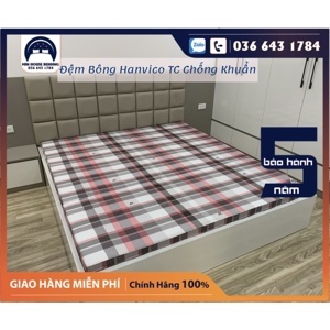 Đệm Hanvico TC chống khuẩn 120 x 190