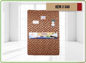 Nệm lò xo 3 Sao Everhome 1m2x1m9x22cm