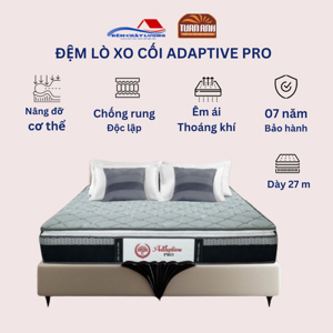 Đệm lò xo cối Tuấn Anh Adaptive