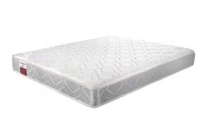 Nệm lò xo Dunlopillo Spring Venus 100x200x23cm