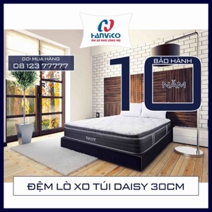 Đệm lò xo túi Daisy Hanvico cao cấp