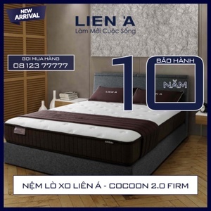 Đệm lò xo Túi Liên Á CoCoon