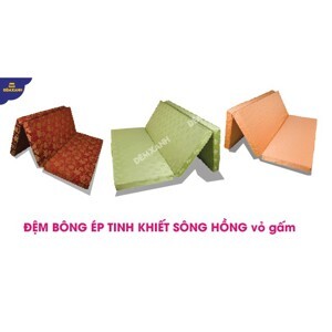 Đệm Sông Hồng vỏ gấm 100x190x5cm