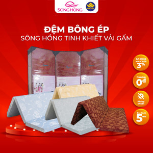 Đệm Sông Hồng vỏ gấm 100x190x5cm