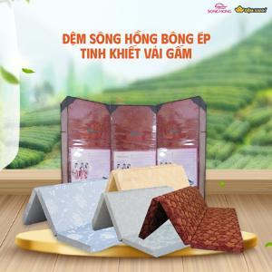 Đệm Sông Hồng vỏ gấm 100x190x5cm