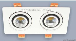 Đèn âm trần downlight Anfaco AFC-756/2 3WX2 1C