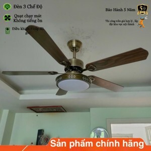 Đèn chùm  chao thủy tinh trang trí phòng khách 8082/6