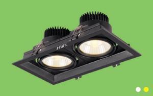 Đèn downlight âm trần AT101 10Wx2