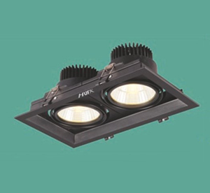 Đèn downlight âm trần AT101 10Wx2