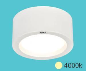 Đèn downlight âm trần LN-25 10W