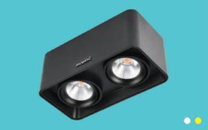 Đèn downlight âm trần LN-30 10Wx2
