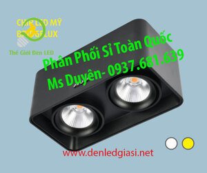 Đèn downlight âm trần LN-30 10Wx2