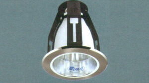 Đèn downlight Anfaco AFC-193/114 (4 inch)