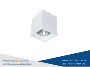 Đèn downlight gắn nổi Duhal LVN4