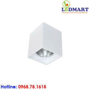 Đèn downlight gắn nổi Duhal LVN4