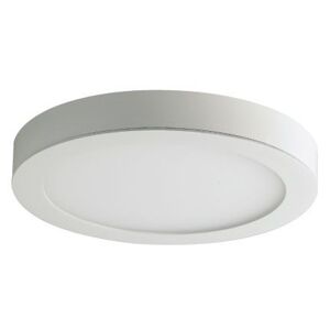 Đèn downlight gắn nổi Paragon PSDII170L12