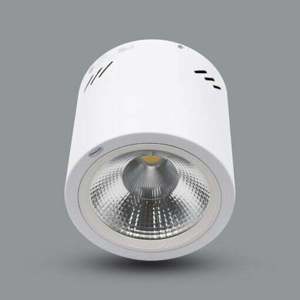 Đèn downlight gắn nổi PSDOO170L20