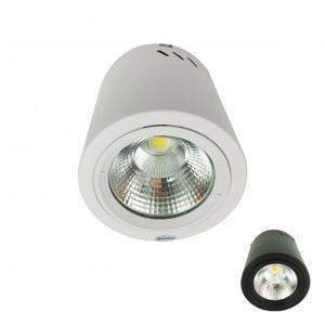 Đèn downlight gắn nổi PSDOO196L25