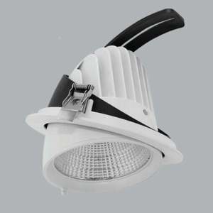 Đèn Downlight MPE DLA-12N