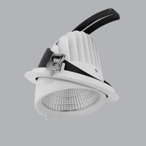 Đèn Downlight MPE DLA-20V