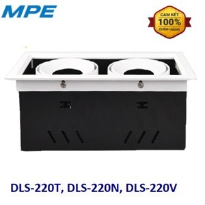 Đèn Downlight MPE DLS-220N