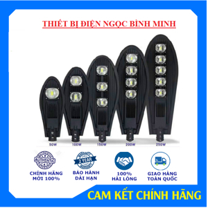 Đèn Đường Chiếc Lá - 100W