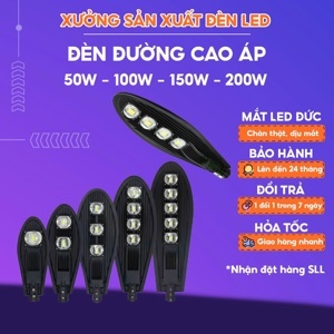 Đèn Đường Chiếc Lá - 100W