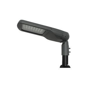 Đèn đường LED Roman ELW2008/100W